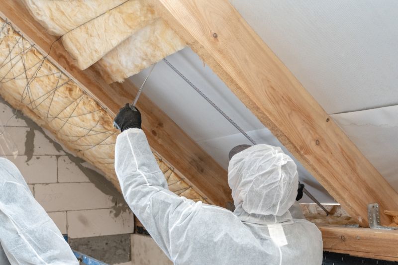 Professional Attic Service